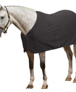 Alternative view of Centaur Turbo Dry Dress Cooler