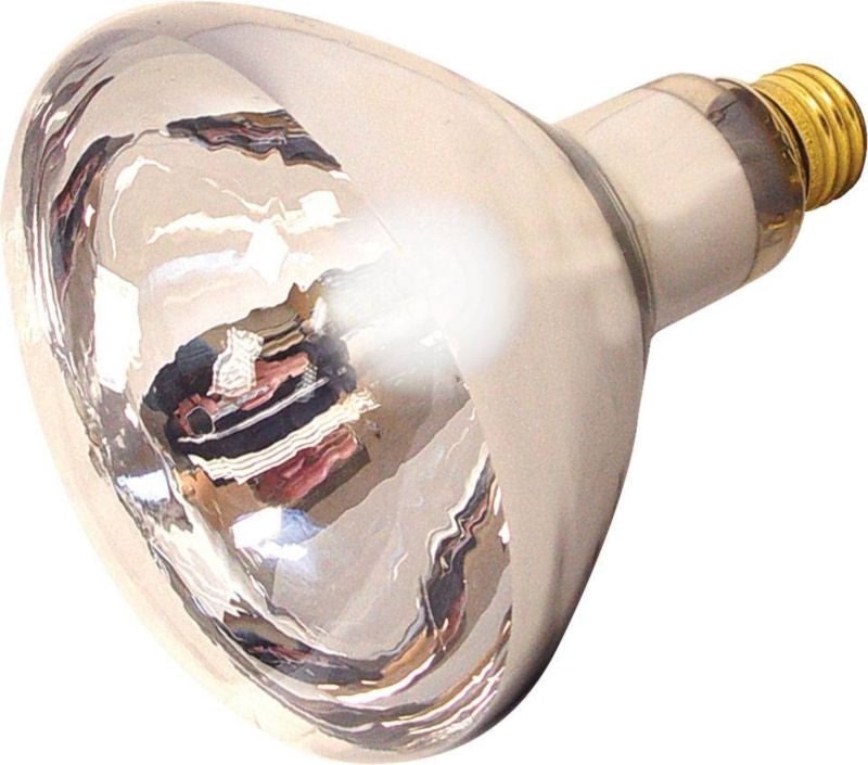 Farm Innovators Heat Lamp Bulb - Image 2