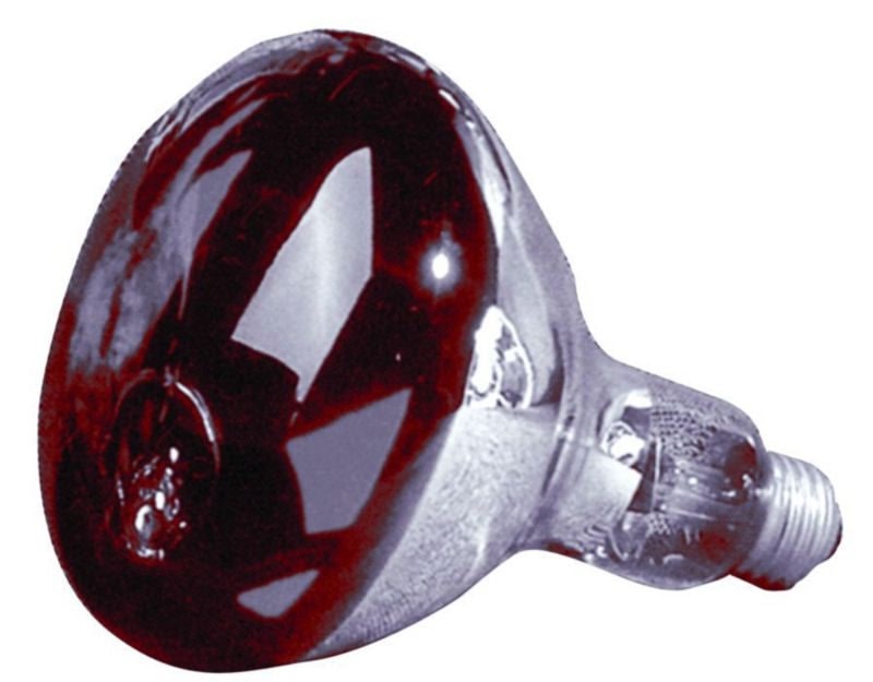 Farm Innovators Heat Lamp Bulb - Image 3
