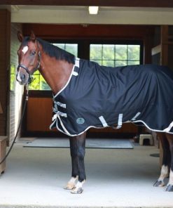Alternative view of Centaur TG3 Horse Blanket
