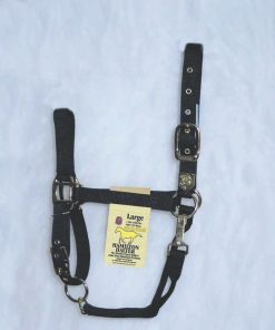 Alternative view of Hamilton Halter Adjustable Chin/Snap Yearling Blue
