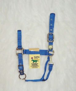 Hamilton Halter Adjustable Chin/Snap Yearling Blue