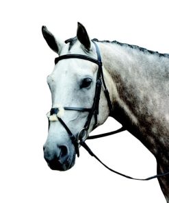Alternative view of Collegiate Essential Figure 8 Bridle