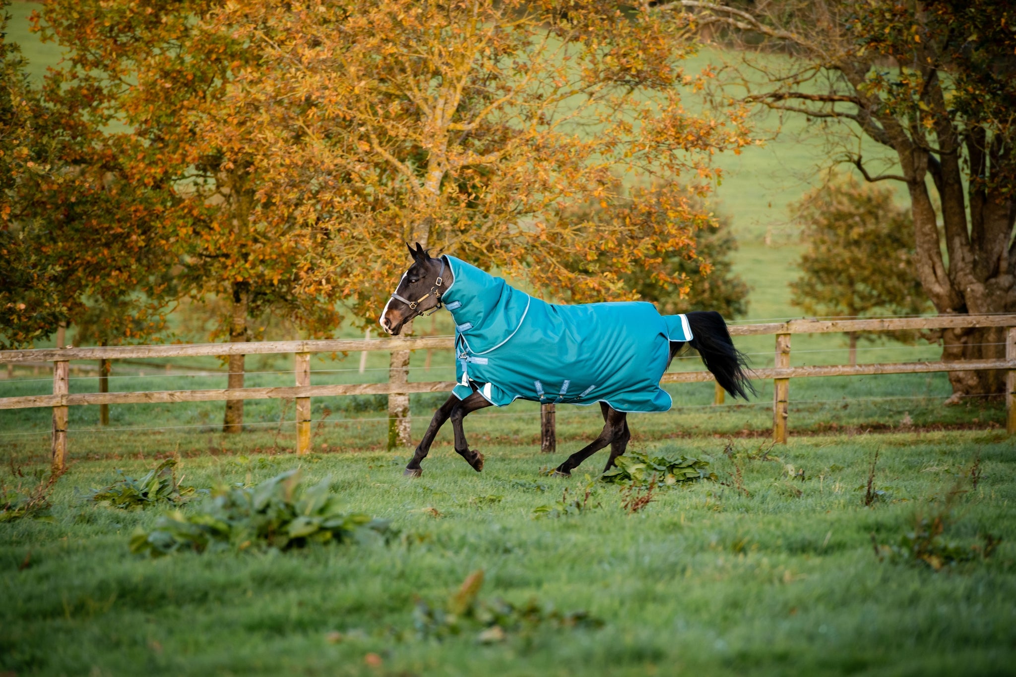 Amigo Bravo 12 Plus Turnout (400g Heavy) - Image 2