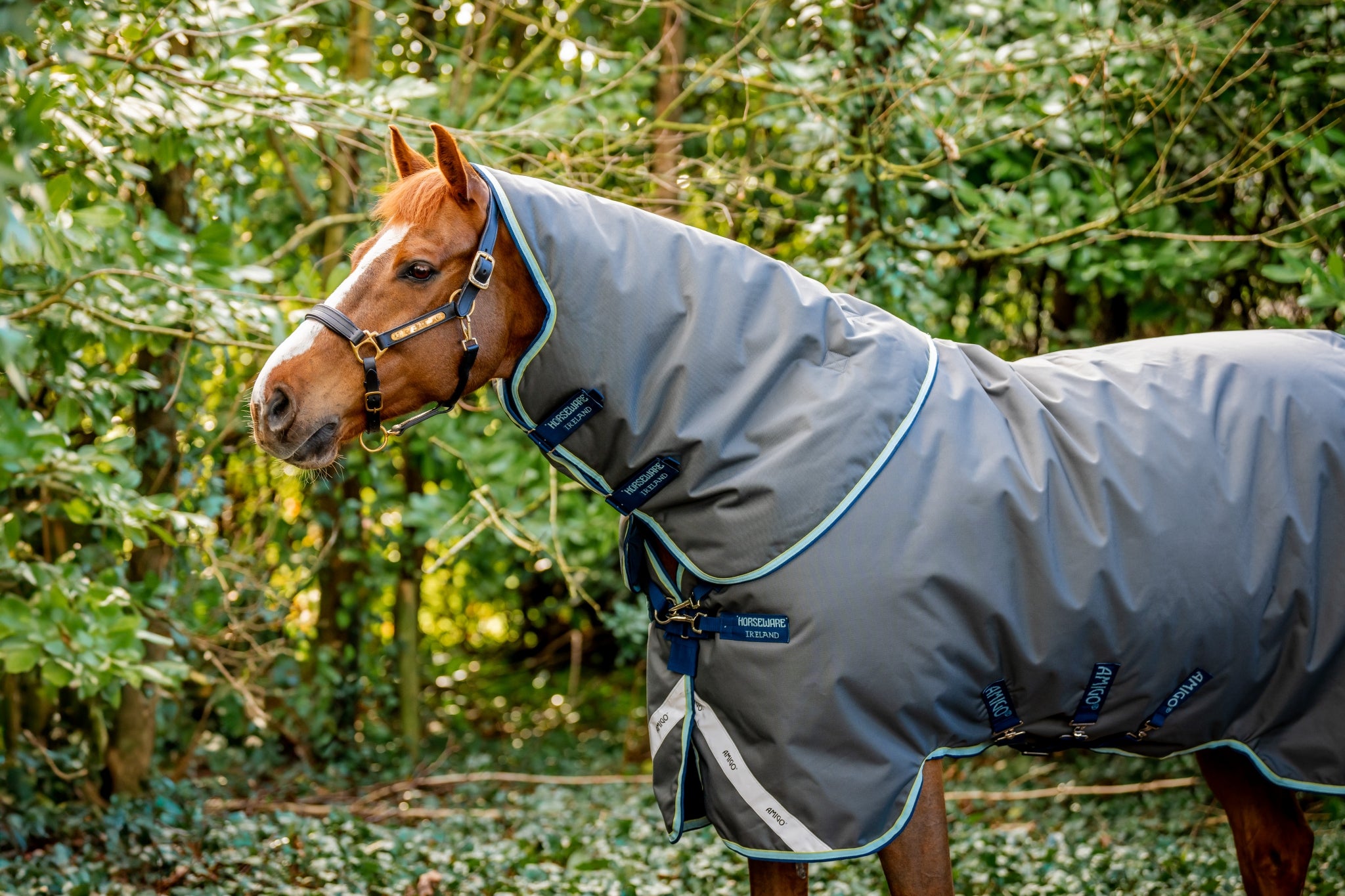 Amigo Bravo 12 Plus Turnout (400g Heavy) - Image 14