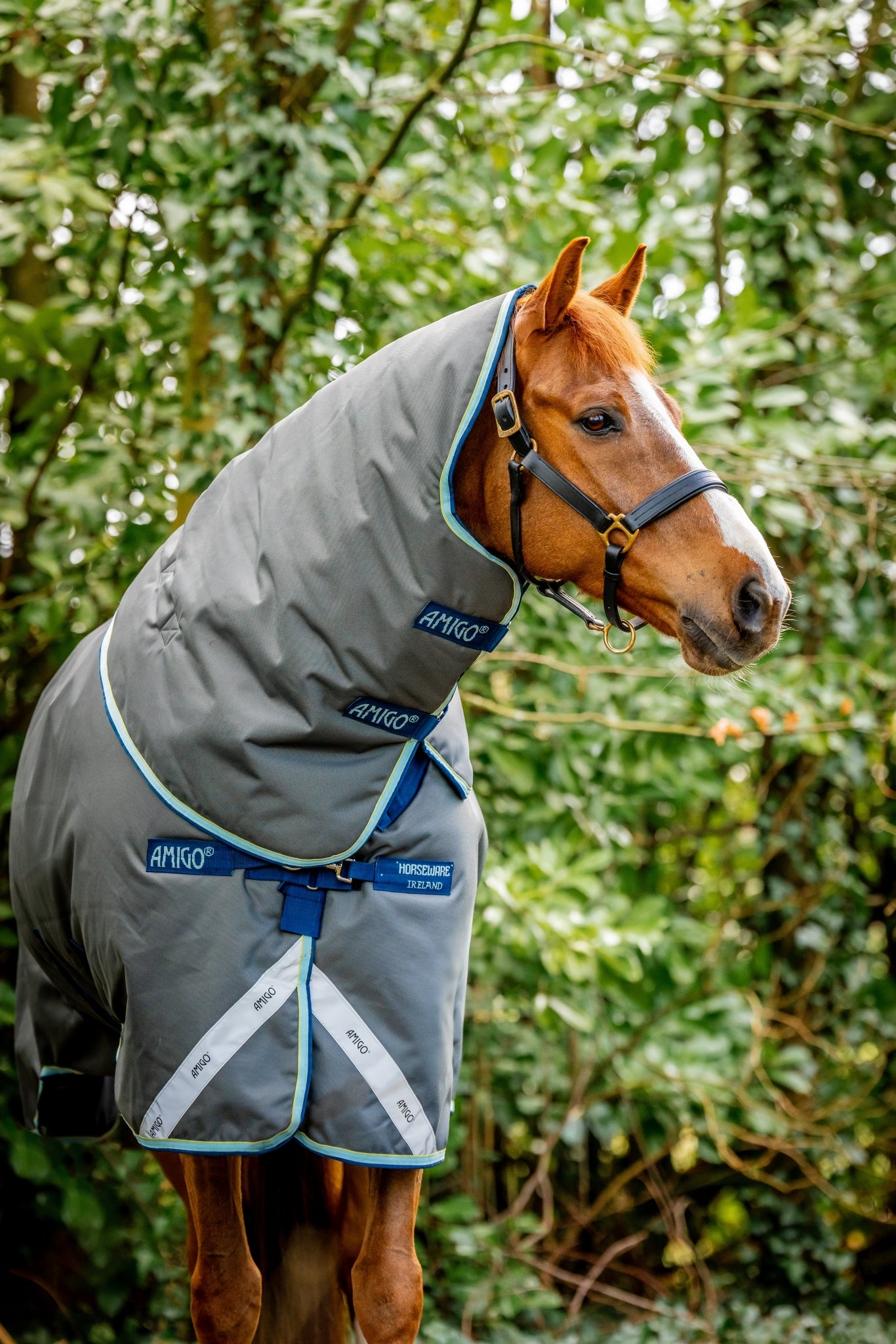 Amigo Bravo 12 Plus Turnout (400g Heavy) - Image 17