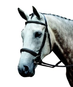 Collegiate Essential Fancy Cavesson Bridle