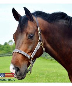 Baker Breakaway Halter with Full Leather Crown Cob