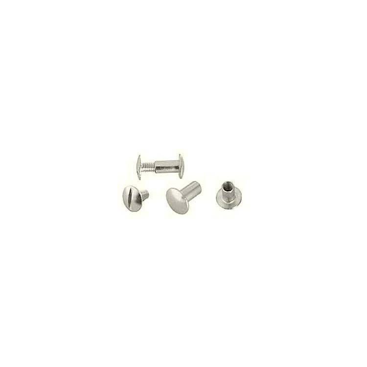 Chicago Screw 10 Pack