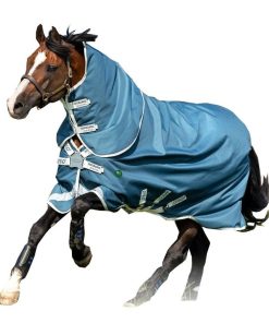 Alternative view of AmEco Bravo 12 Plus Turnout Sheet