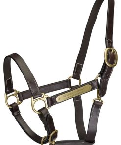 Gatsby Engraved Leather Halter with Snap