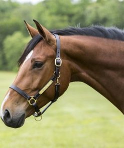 Alternative view of Gatsby Engraved Leather Halter with Snap