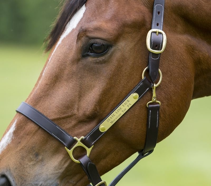 Gatsby Engraved Leather Halter with Snap - Image 3