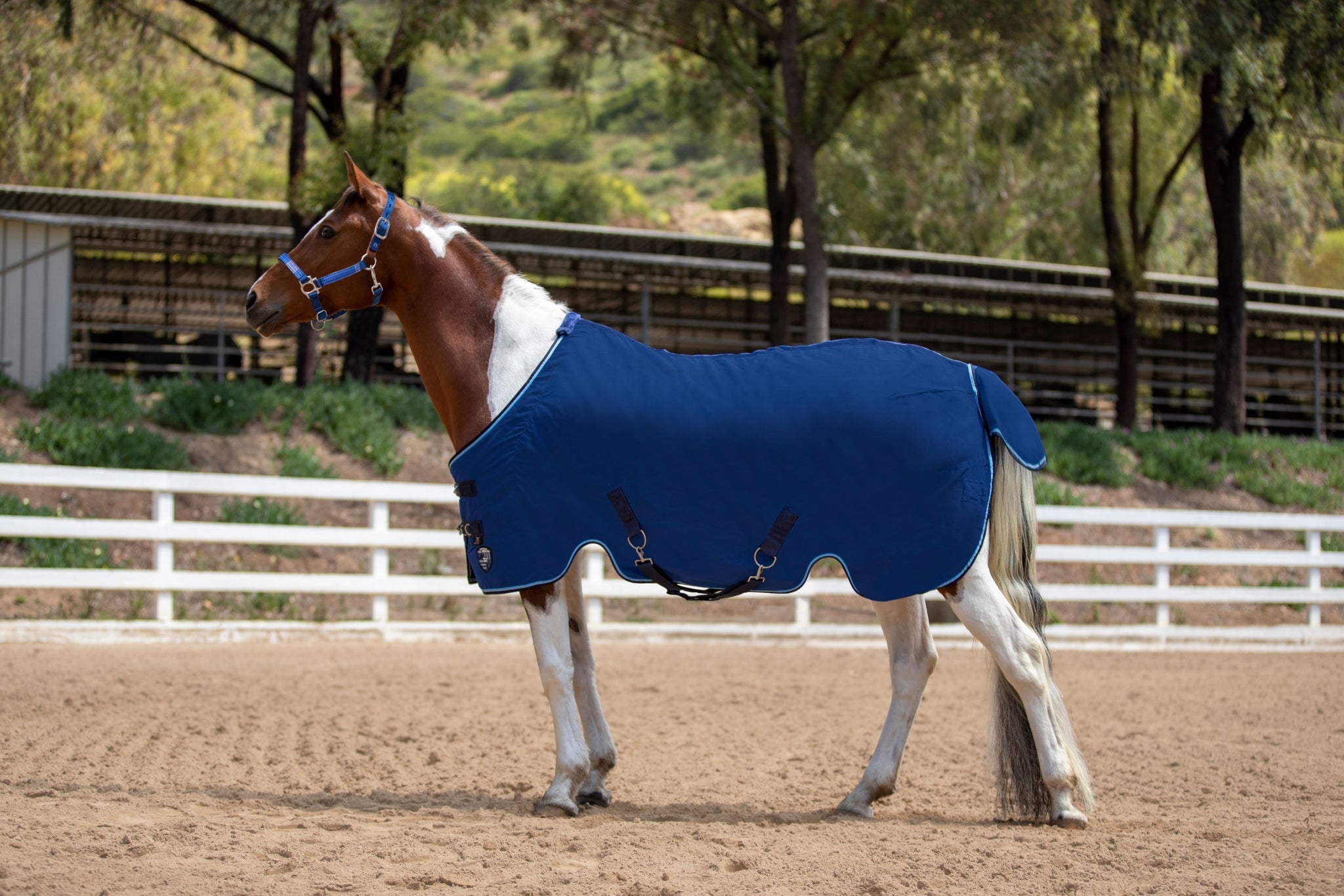 Kensington Poly Cotton Stable Sheet - Image 3