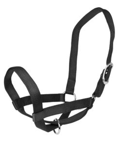 Alternative view of Gatsby Nylon Cattle Halter
