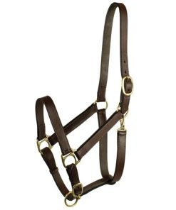 Alternative view of Gatsby Leather Turnout Halter with Snap