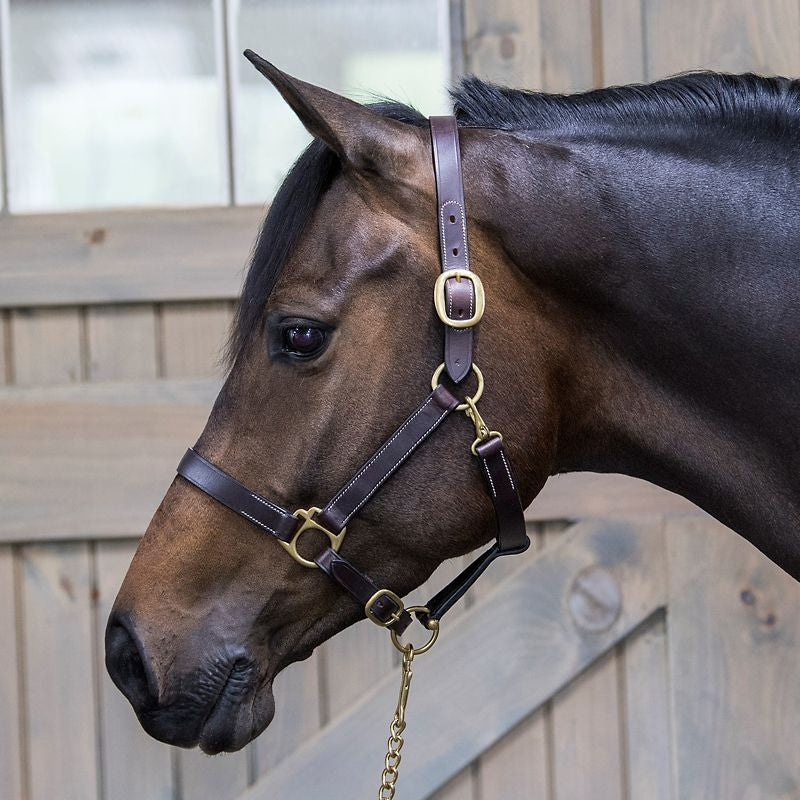 Gatsby Leather Turnout Halter with Snap - Image 5