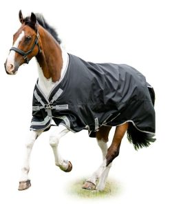 Alternative view of Amigo Bravo 12 XL Original T/O Lite