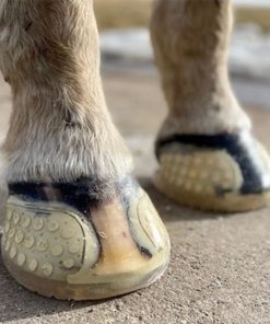 Alternative view of Easycare EasyShoe Versa Grip Glue Front Shoe