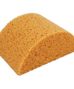 Alternative view of Honey Comb Body Hydra Sponge