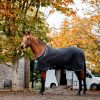 Horseware Thermal Cooler