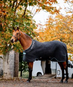 Horseware Thermal Cooler