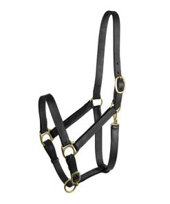 Gatsby Adj Turnout Halter with Snap