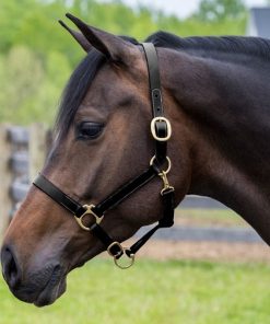 Alternative view of Gatsby Adj Turnout Halter with Snap