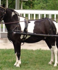 CDE Mini/Pony Formal Driving Harness