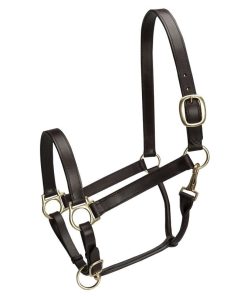 Basic Leather Adj Stable Halter with Snap