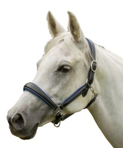 Alternative view of HDR Cahill Padded Halter