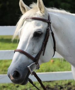 HDR Advantage Raised Snaffle Bridle