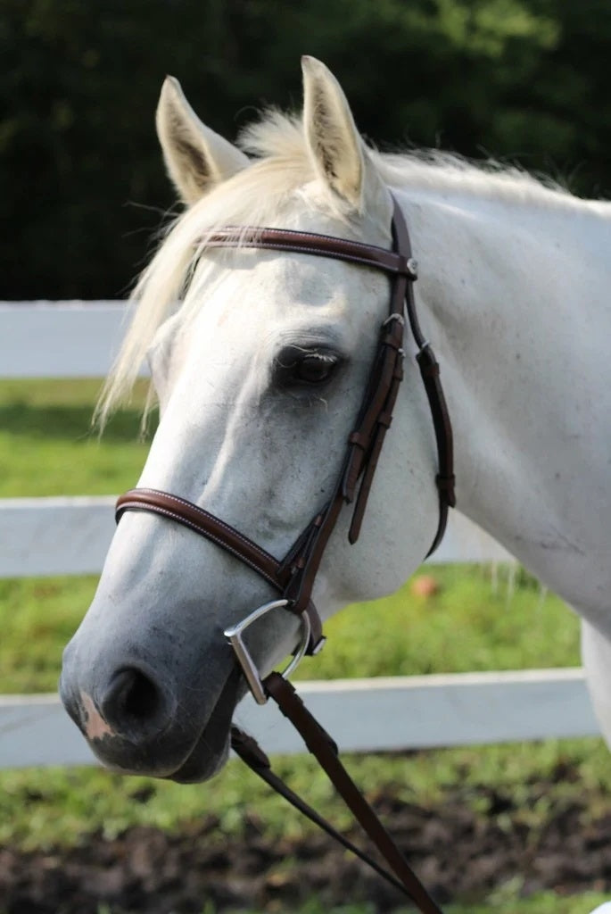 HDR Advantage Raised Snaffle Bridle