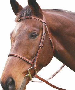 Alternative view of HDR Advantage Raised Snaffle Bridle