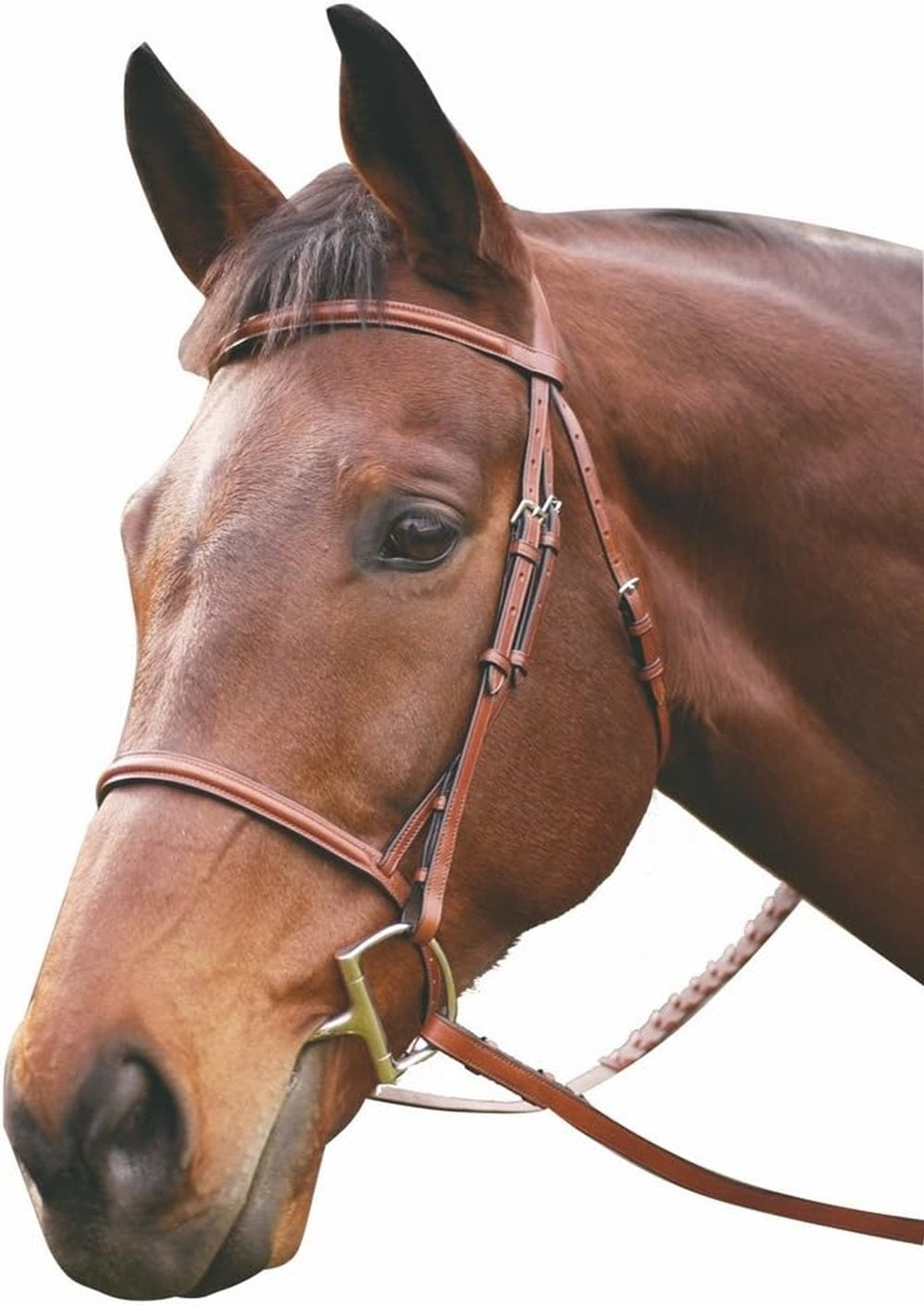 HDR Advantage Raised Snaffle Bridle - Image 2