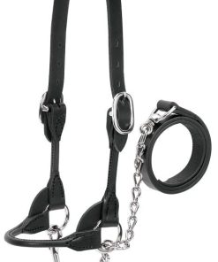 Dairy Beef Rounded Show Halter