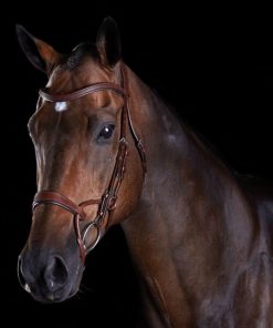 Alternative view of Collegiate ComFiTec Training Bridle