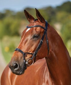 Collegiate ComFiTec Training Bridle