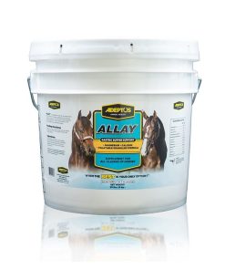 Alternative view of Adeptus Allay