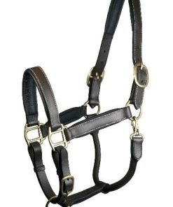 Gatsby Fully Adjust Padded Leather Halter