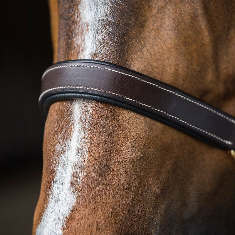 Gatsby Fully Adjust Padded Leather Halter - Image 4