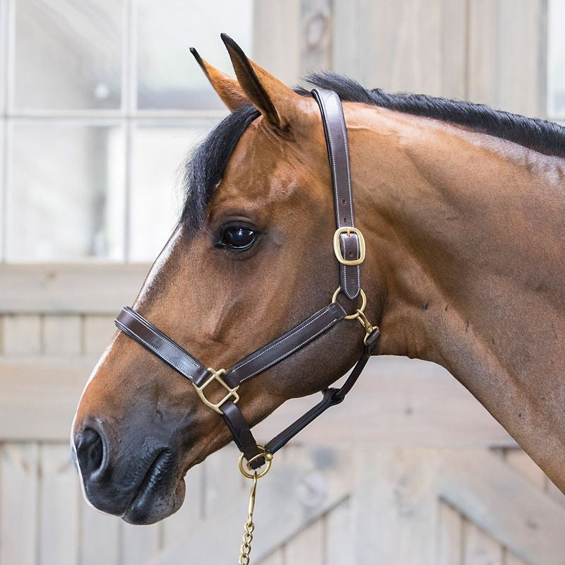 Gatsby Fully Adjust Padded Leather Halter - Image 5