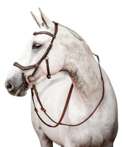 Alternative view of HW Micklem 2 Competition Bridle