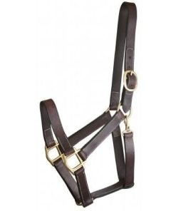 Gatsby Track Style Turnout Halter/Snap