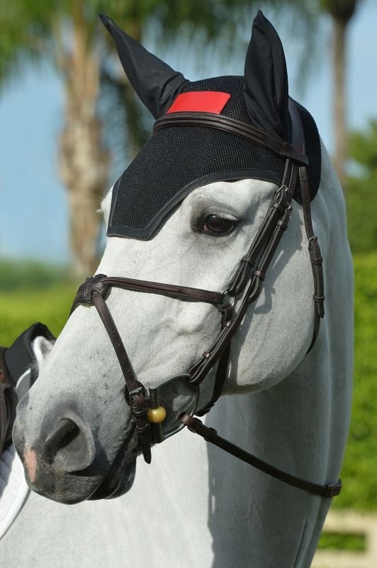 EquiFit HeadsUp Ear Bonnet - Image 2