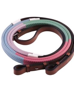 Alternative view of HDR Advantage Training Reins