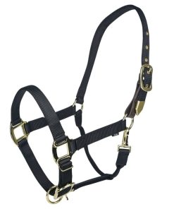 Gatsby Gold Safety Breakaway Halter