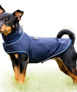 Horseware Signature Dog Rain Coat