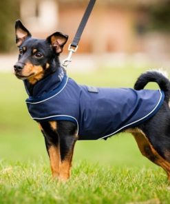 Alternative view of Horseware Signature Dog Rain Coat