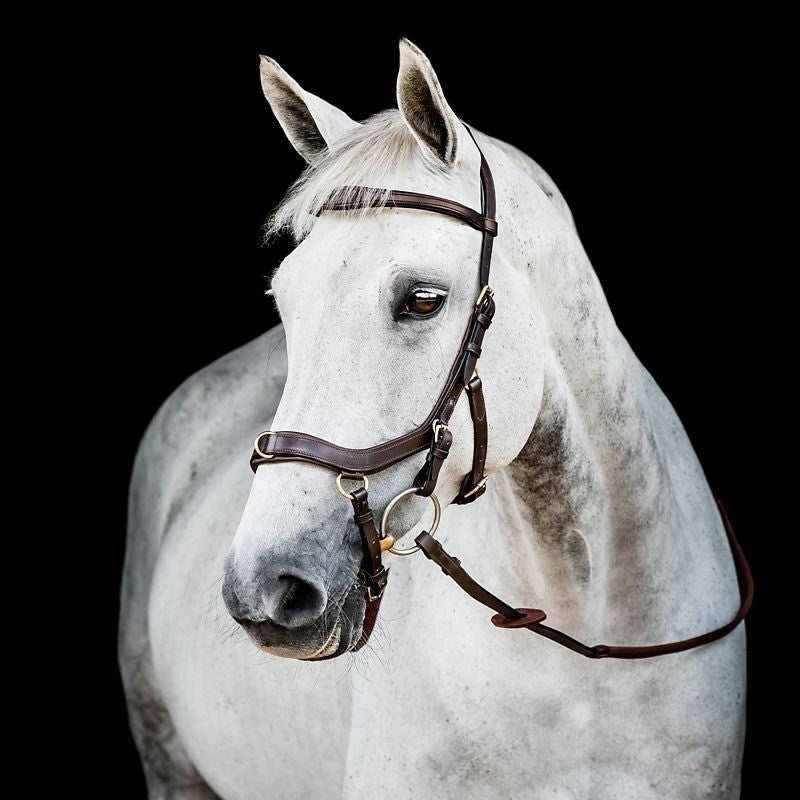 Horseware Micklem 2 Multi Bridle - Image 2